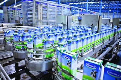 Xuất khẩu nhiều mặt hàng sữa tăng trưởng mạnh 